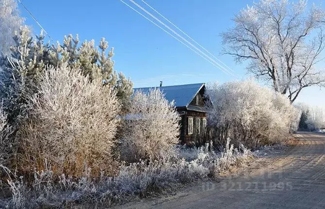 Участок в Тверская область, Рамешковский муниципальный округ, д. ... - Фото 2