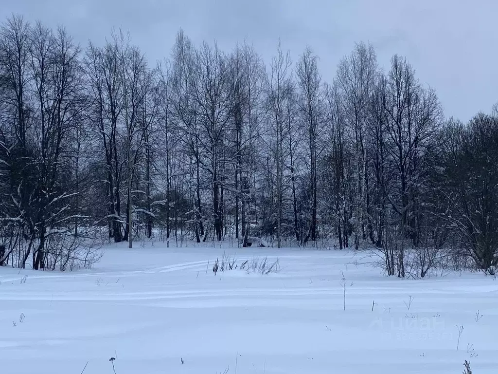 Участок в Московская область, Истра ул. Ленина, Река Истра (19.22 ... - Фото 2