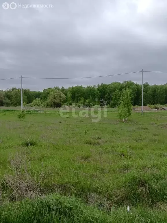 Участок в Сузунский район, Шарчинский сельсовет (9 м) - Фото 0