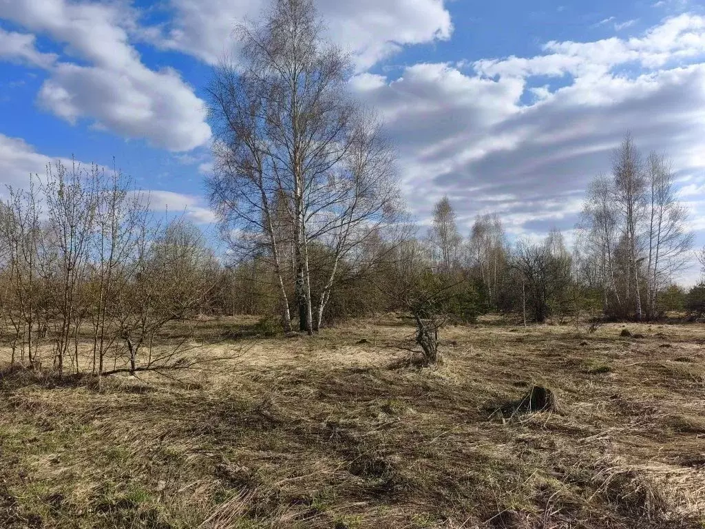 Участок в Нижегородская область, Богородский муниципальный округ, ... - Фото 2