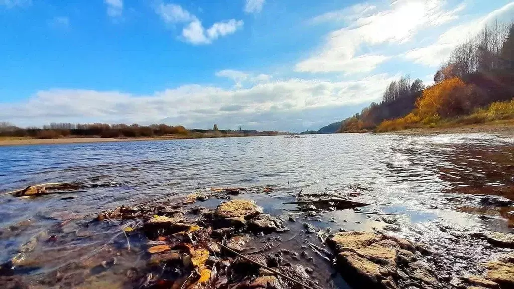 Дом в Кировская область, Котельничский район, Биртяевское с/пос, д. ... - Фото 1