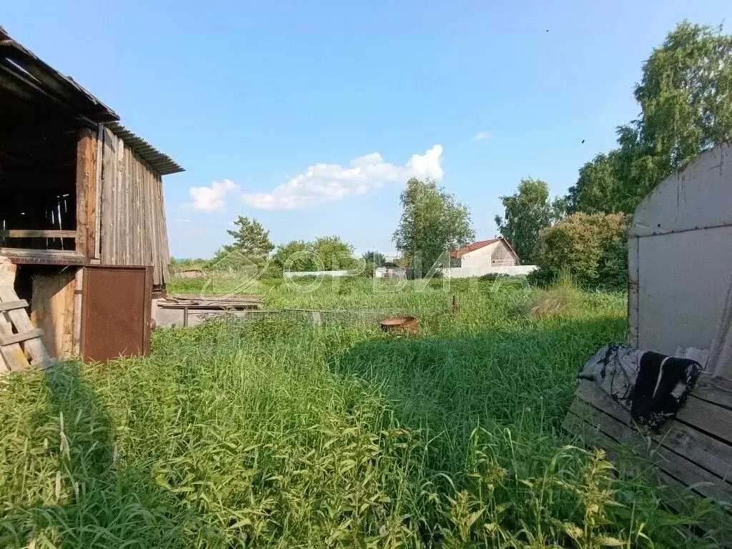 Участок в Тюменская область, Тюменский муниципальный округ, с. Каскара ... - Фото 2