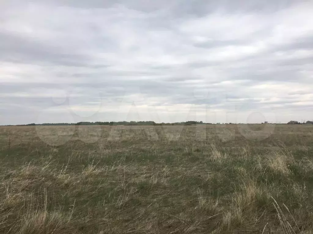 Знаменка участок