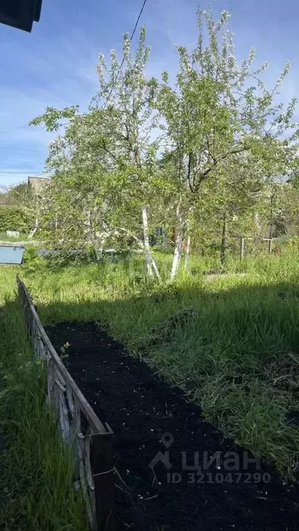 Дом в Красноярский край, Красноярск городской округ, пос. Солонцы, ... - Фото 1