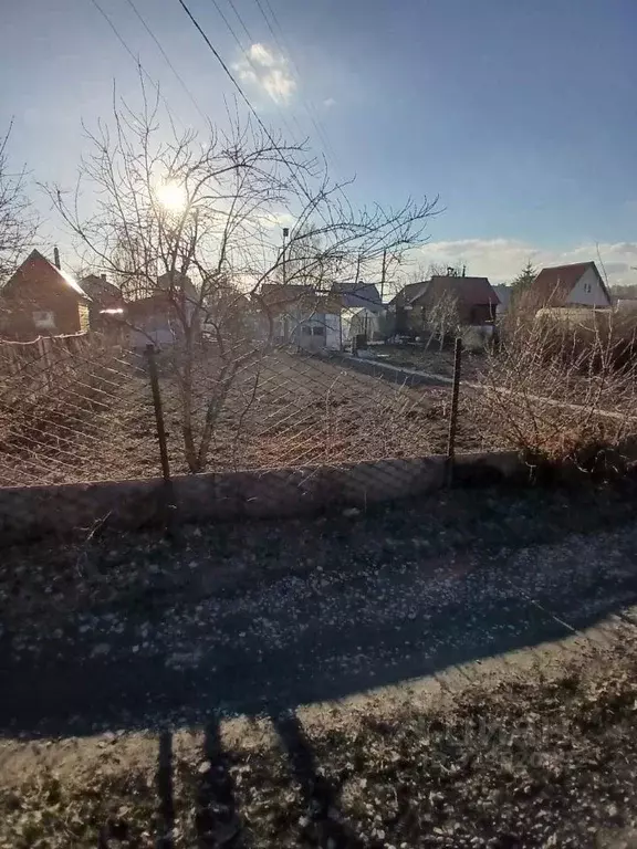 Участок в Новосибирская область, Новосибирск Кедр СНТ,  (450.0 сот.) - Фото 2