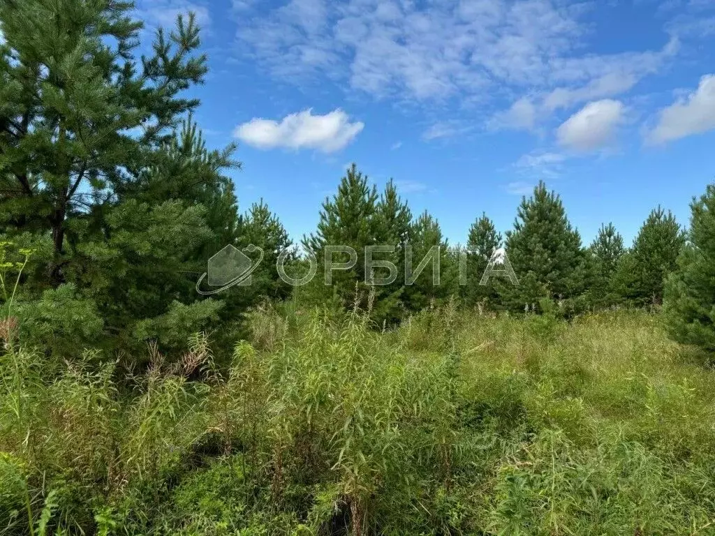 Участок в Тюменская область, Тюменский район, с. Салаирка ул. ... - Фото 0