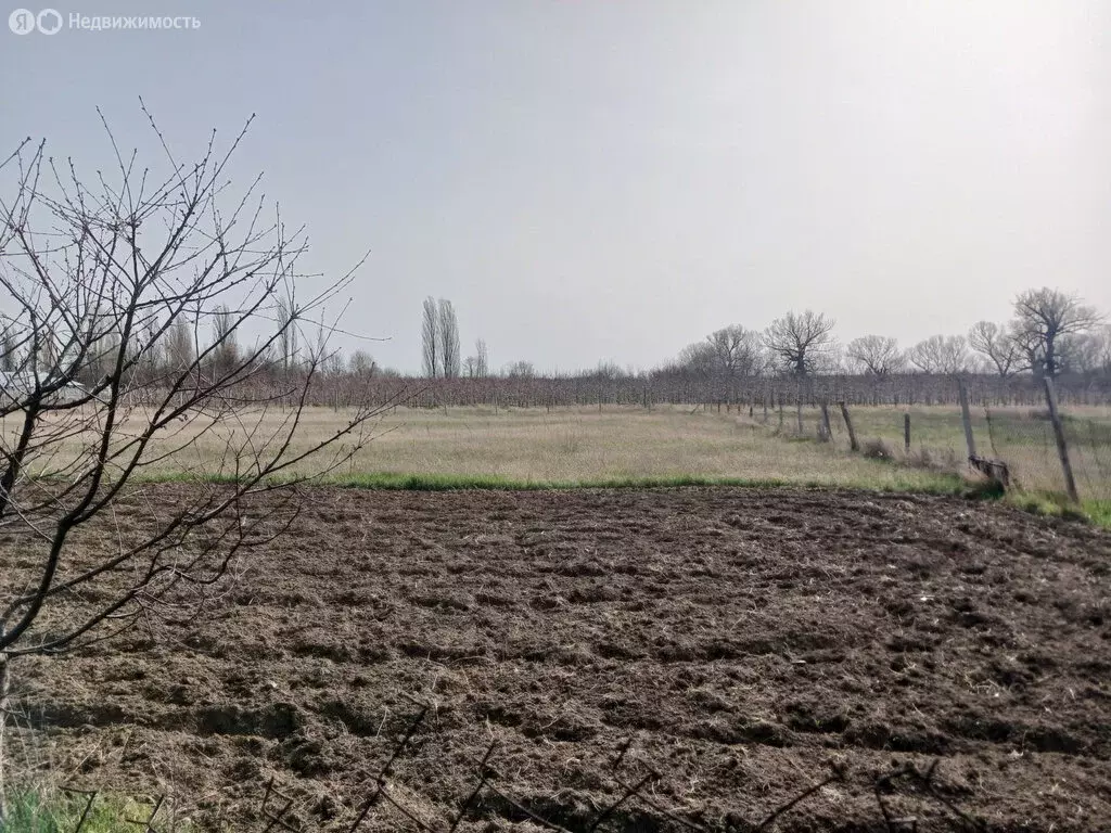 Участок в Зыбины, Таврическая улица (6 м) - Фото 1