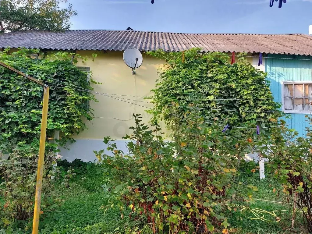 Дом в Калужская область, Ферзиковский муниципальный округ, Авчурино ... - Фото 2