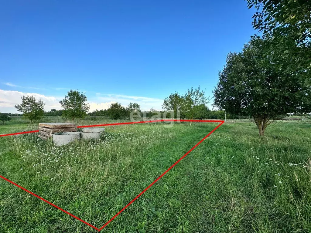 Участок в Московская область, Клин городской округ, д. Вельмогово  ... - Фото 1