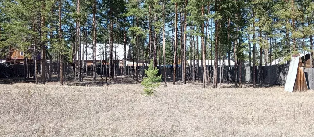Участок 16 сот. (СНТ, ДНП) - Фото 0