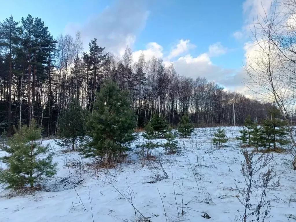 Участок в Московская область, Сергиево-Посадский городской округ, д. ... - Фото 1