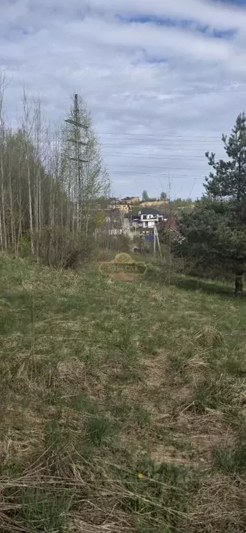 Участок в Ленинградская область, Всеволожский район, Бугровское ... - Фото 2