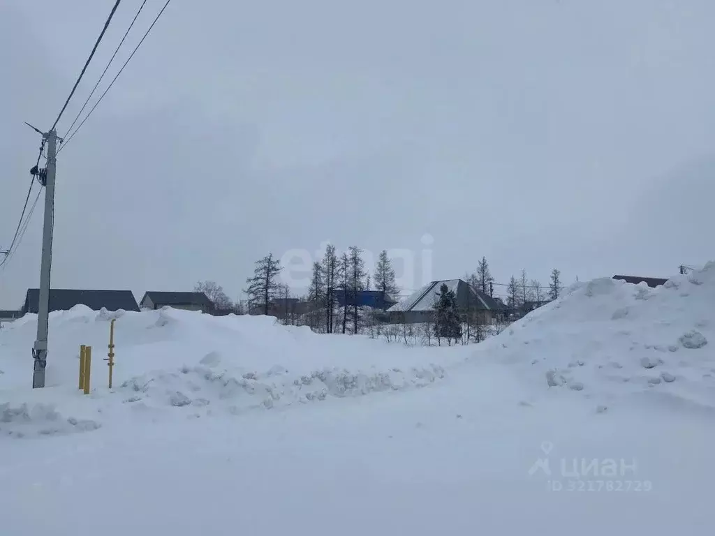 Участок в Ямало-Ненецкий АО, Новый Уренгой Ермак ДПК, проезд Лесной ... - Фото 1