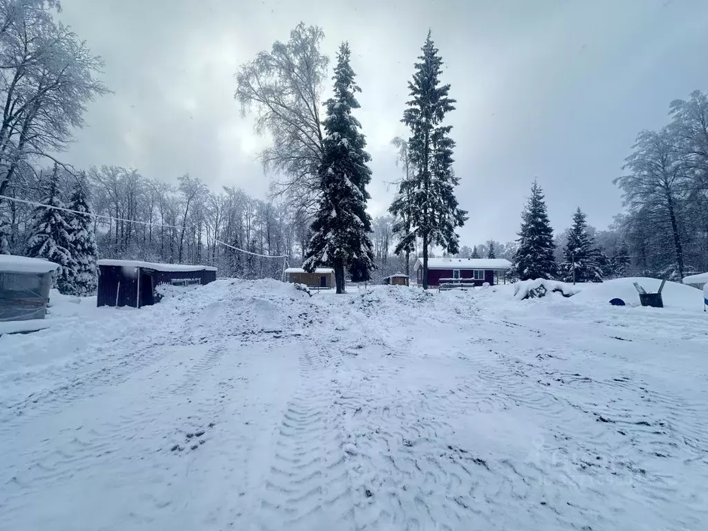 Участок в Московская область, Солнечногорск городской округ, Лесные ... - Фото 1
