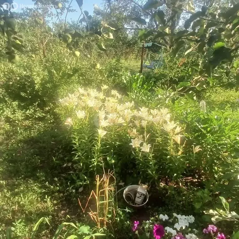 Дом в Энгельсский район, Терновское муниципальное образование, СНТ ... - Фото 2