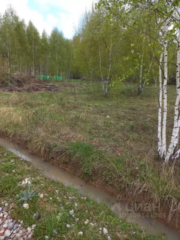 Участок в Московская область, Раменский городской округ, Сувенир СНТ  ... - Фото 0