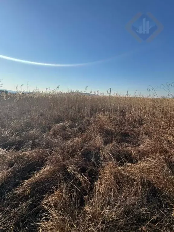 Участок в Приморский край, Партизанский муниципальный округ, с. ... - Фото 1