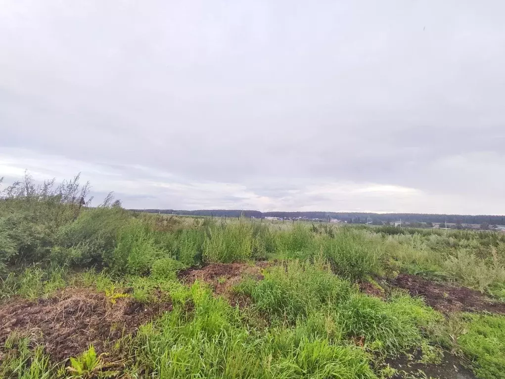 Производственное помещение в Свердловская область, Сысертский ... - Фото 0