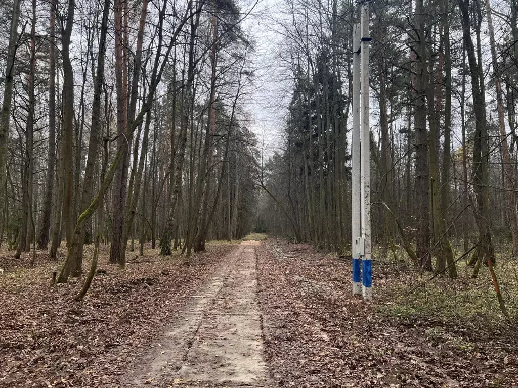 Участок в Московская область, Чехов городской округ, д. Прохорово  ... - Фото 1