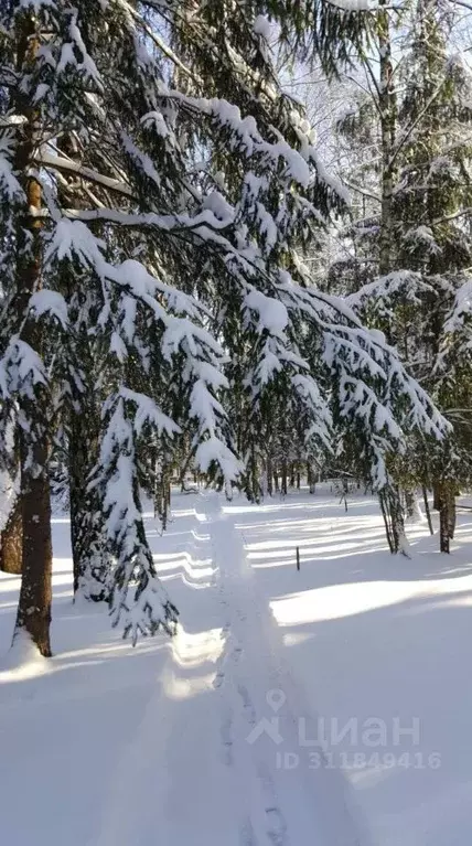 Участок в Московская область, Одинцовский городской округ, д. Чигасово ... - Фото 0