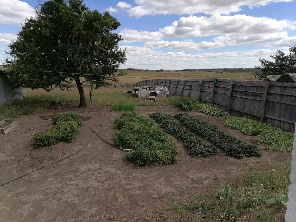 Дом в Волгоградская область, Михайловский район, Сухов 2-й хут. ул. ... - Фото 2