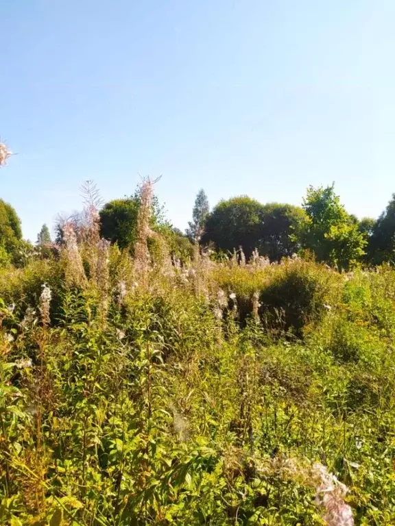 Участок в Смоленская область, Смоленский муниципальный округ, д. Лоево ... - Фото 1