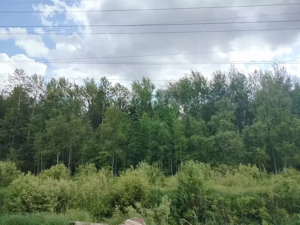 Участок в Новгородская область, Новгородский район, Ермолинское с/пос, ... - Фото 1