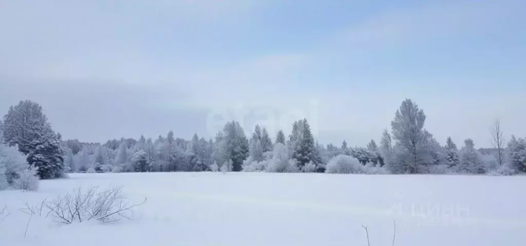 Участок в Ленинградская область, Кириши Сиреневый бул. (12.0 сот.) - Фото 2