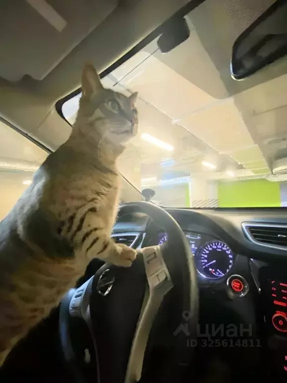 Гараж в Москва ул. Саларьевская, 14к2 (14 м) - Фото 1