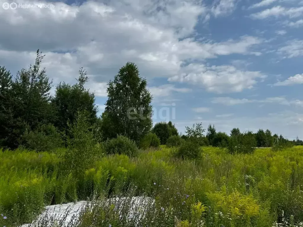 Участок в Нижегородская область, Городецкий муниципальный округ, ... - Фото 0