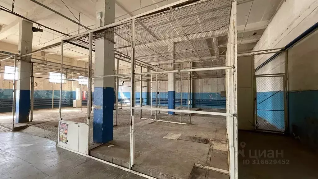 Торговая площадь в Оренбургская область, Оренбург ул. Мусы Джалиля, 6 ... - Фото 1