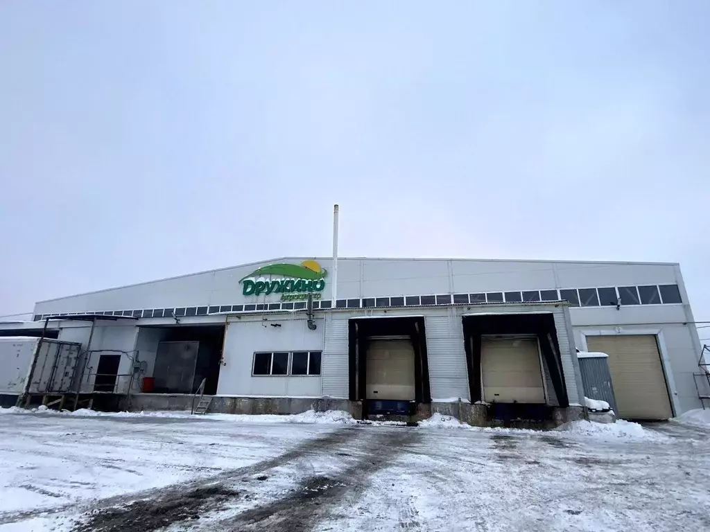 Склад в Омская область, Омский район, с. Дружино Сибирская ул., 2Б ... - Фото 0