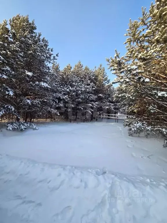 Участок в Красноярский край, Емельяновский муниципальный округ, Сказка ... - Фото 2