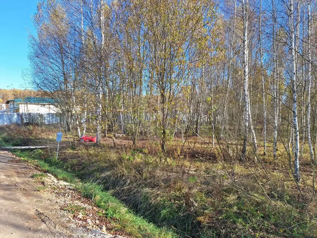 Участок 12,5 сот. (ИЖС) - Фото 1