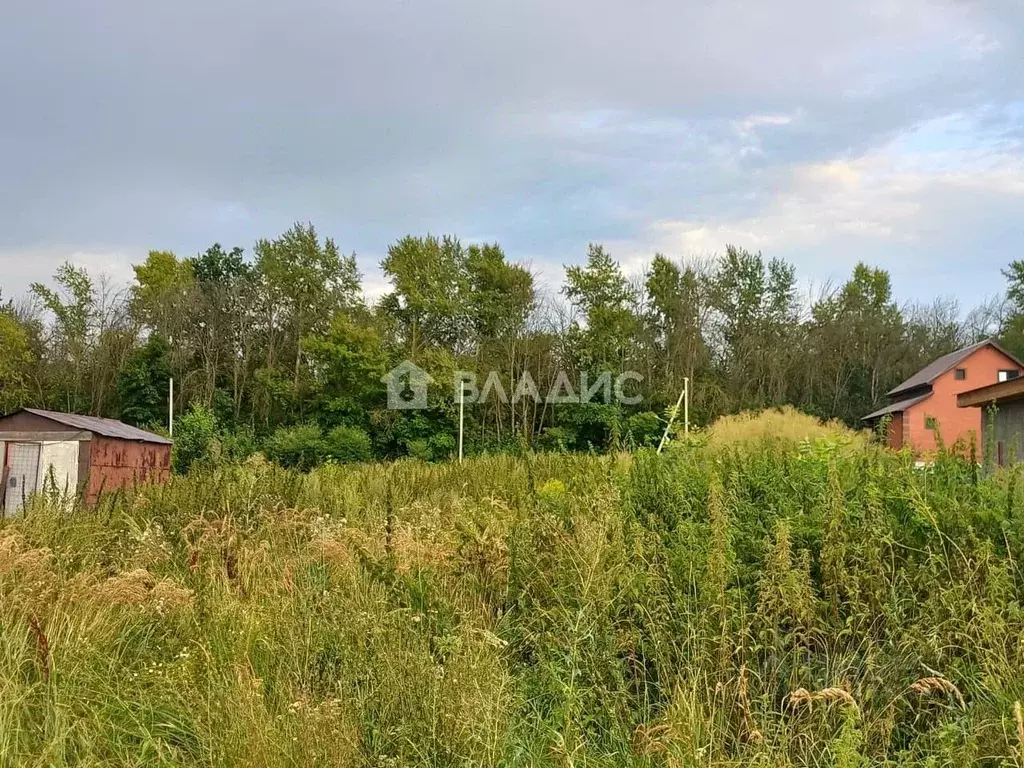Участок в Пензенская область, Пензенский район, Мичуринский сельсовет, ... - Фото 1