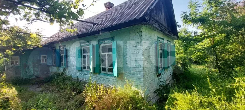 Дом 35 м на участке 35 сот. - Фото 1