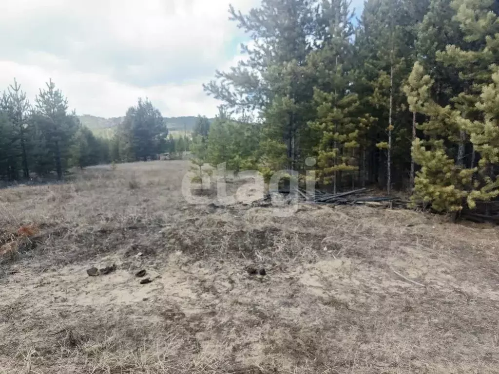 Участок в Бурятия, Тарбагатайский район, Заводское с/пос, Булаг ДНТ ... - Фото 1