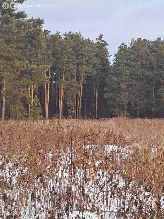 Участок в село Никольское, Октябрьская улица, 6 (20 м) - Фото 0