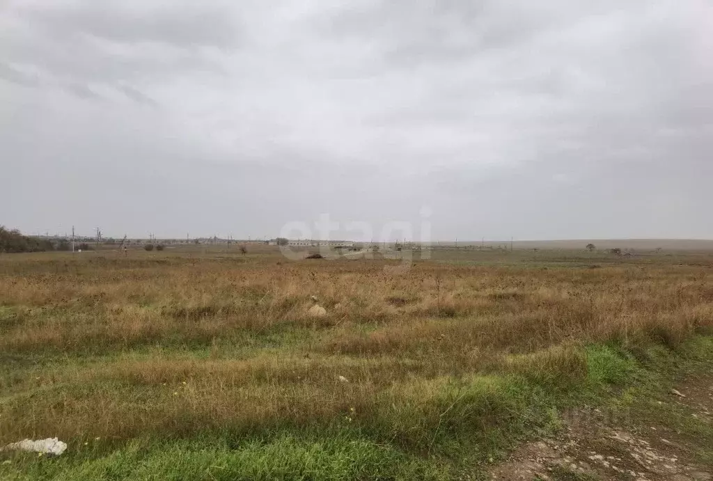 Участок в Крым, Черноморский район, Оленевское с/пос, с. Оленевка  ... - Фото 1