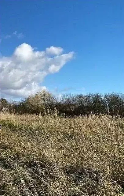 Участок в Калининградская область, Зеленоградский муниципальный округ, ... - Фото 2