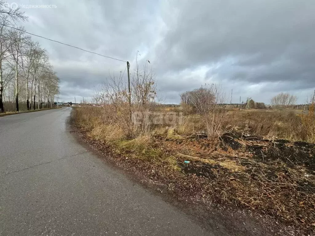 Участок в Преображенский сельсовет, село Большая Салырь (3400 м) - Фото 0