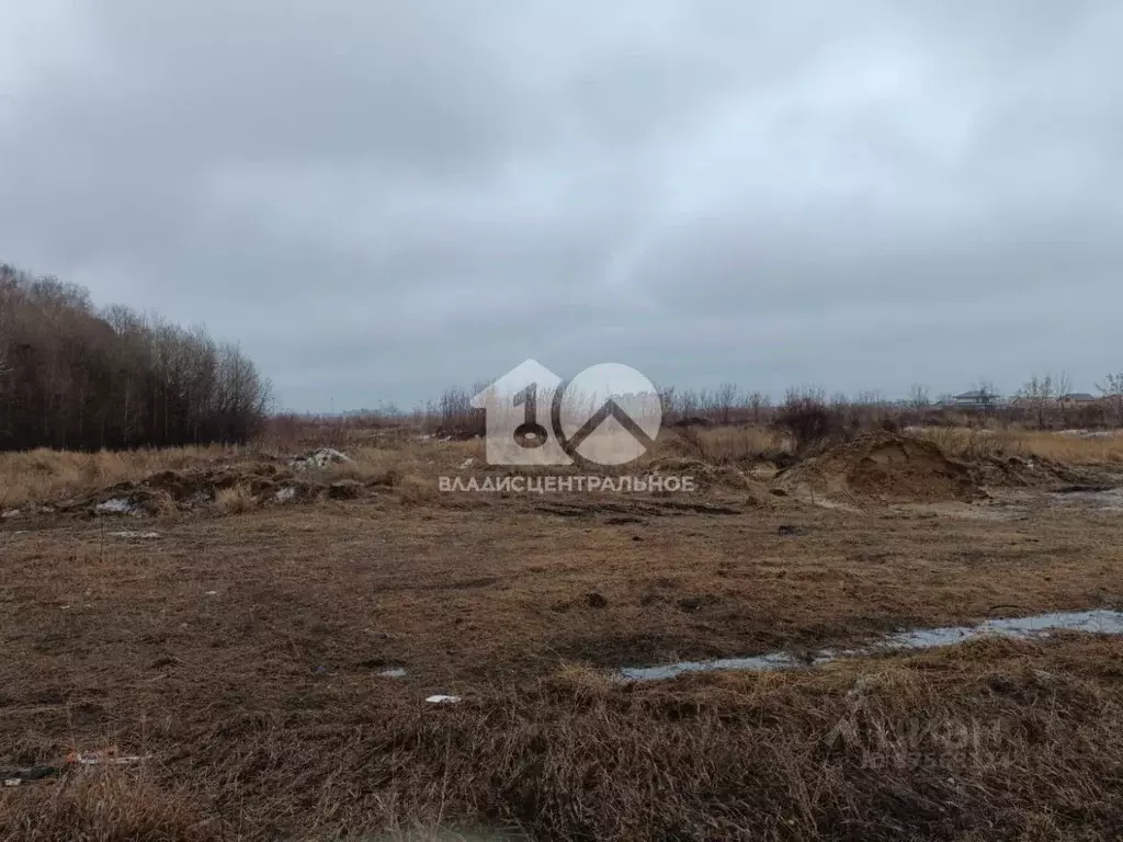 Участок в Новосибирская область, Новосибирский район, Мичуринский ... - Фото 0