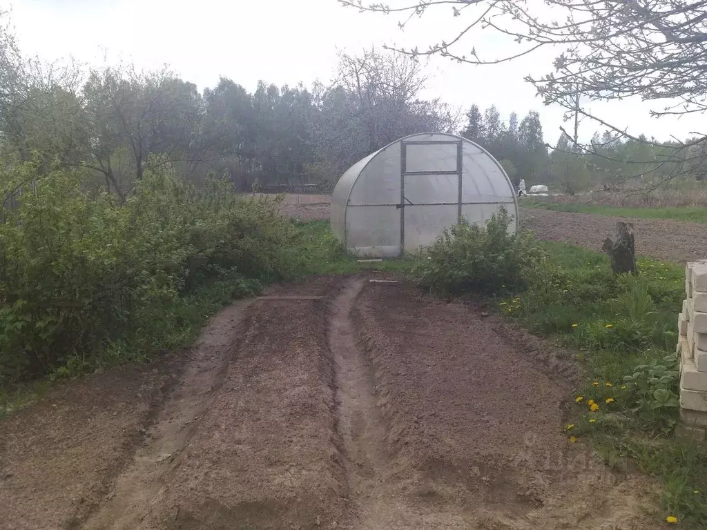 Участок в Нижегородская область, Бор городской округ, д. Петрово, ... - Фото 0