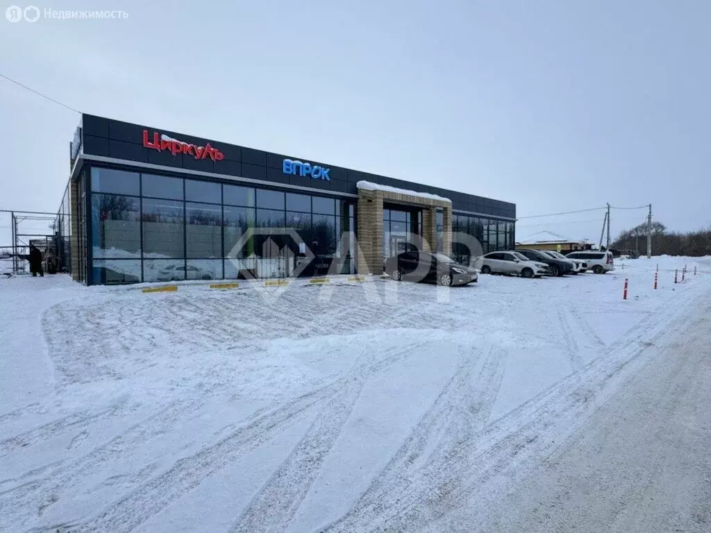 Торговая площадь (53.2 м) - Фото 2