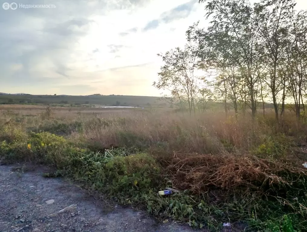 Участок в Краснодарский край, городской округ Новороссийск, хутор ... - Фото 0