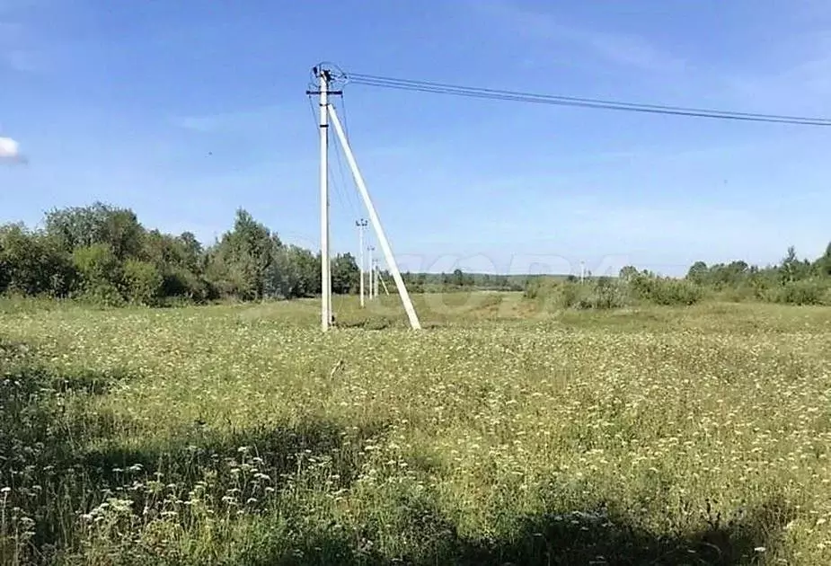 участок в тюменская область, тюменский район, с. червишево советская . - Фото 1