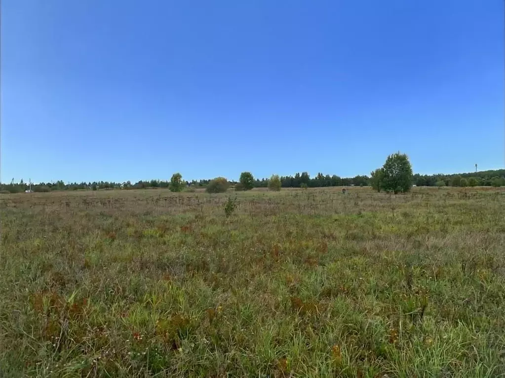 Участок в Ленинградская область, Лужский район, Мшинское с/пос, ... - Фото 1