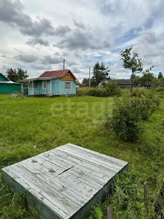 Участок в Вологодская область, Вологда Дружба садоводческое ... - Фото 1