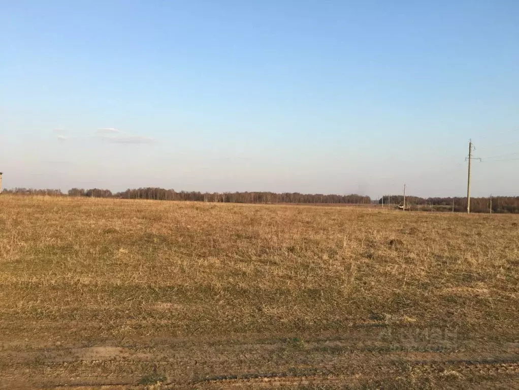 Участок в Владимирская область, Александровский муниципальный округ, ... - Фото 2