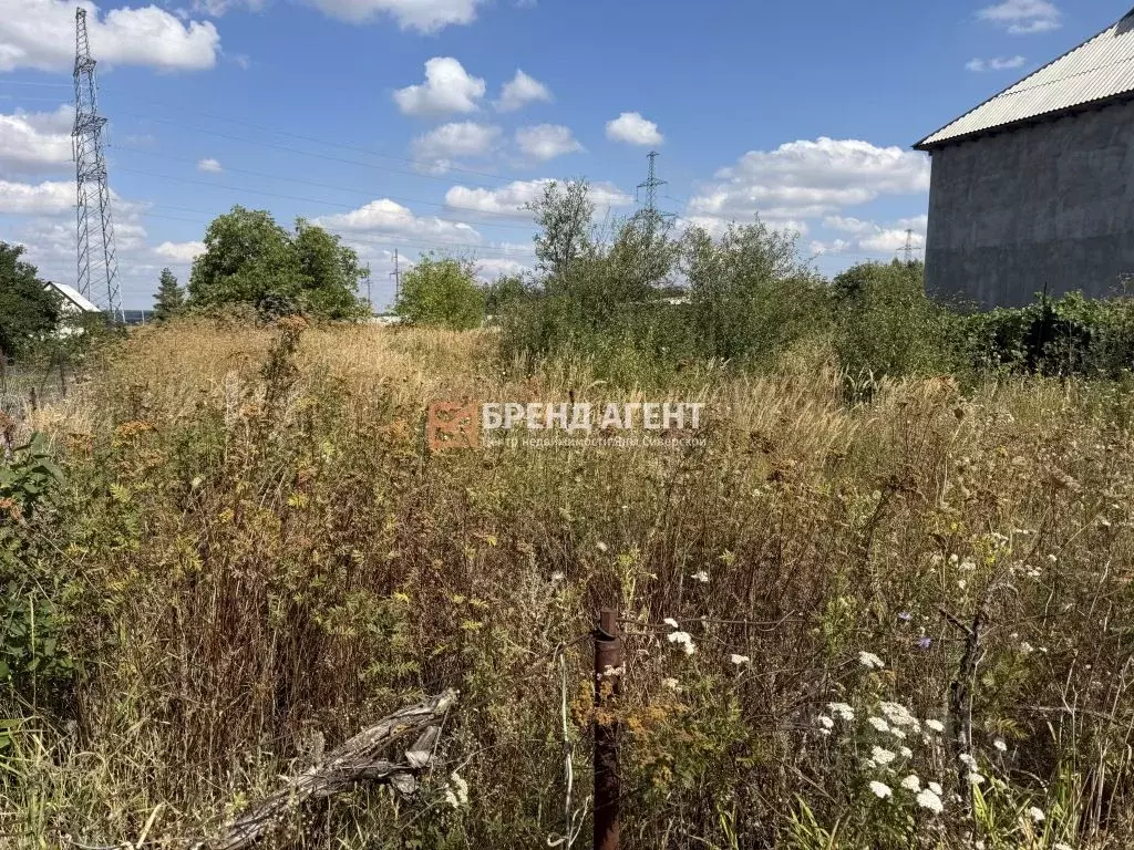 Участок в Белгородская область, Яковлевский муниципальный округ, СОСН ... - Фото 2